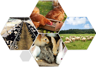 精益求精的品質 產品更優良、更安全衛生、更環保