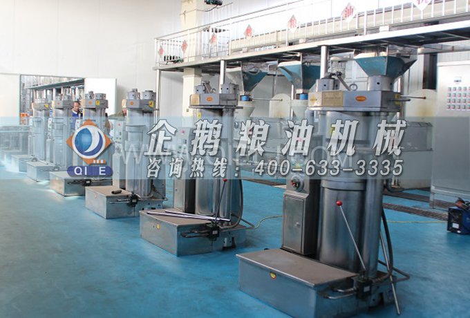 芝麻油提取加工，企鵝糧油機械生產色香味俱佳的油脂(圖3)
